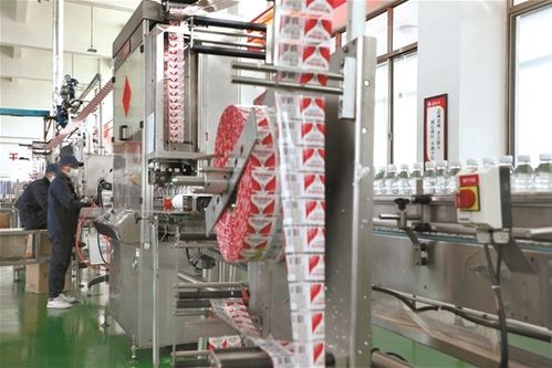 拉薩文明網(wǎng)技術(shù)咨詢服務(wù)指南 技術(shù)支持、常見問題與優(yōu)化建議